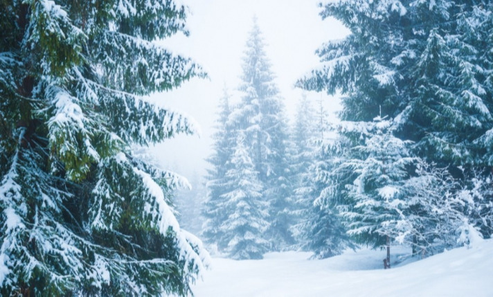 Ойрын 10 хоногийн цаг агаарын урьдчилсан төлөв